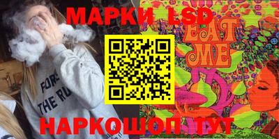 шишки Новодвинск