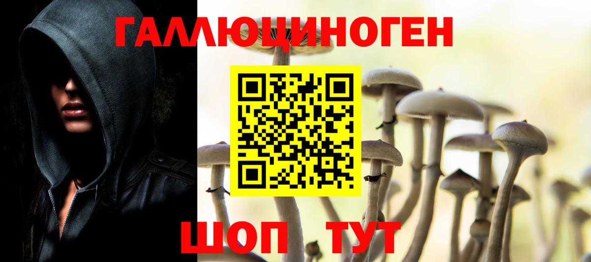 Галлюциногенные грибы Cubensis Старая Купавна